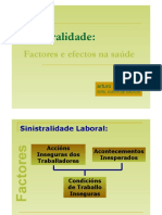 Sinistralidade Factores Efectos