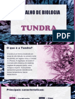 Trabalho de Biologia Tundra