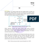 SMA 11 - Sel PDF