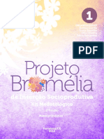 Projeto Bromelia Kit 1