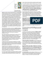 Certificaciones - EL MUNDO PDF