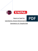Tapal Danedar Term Report
