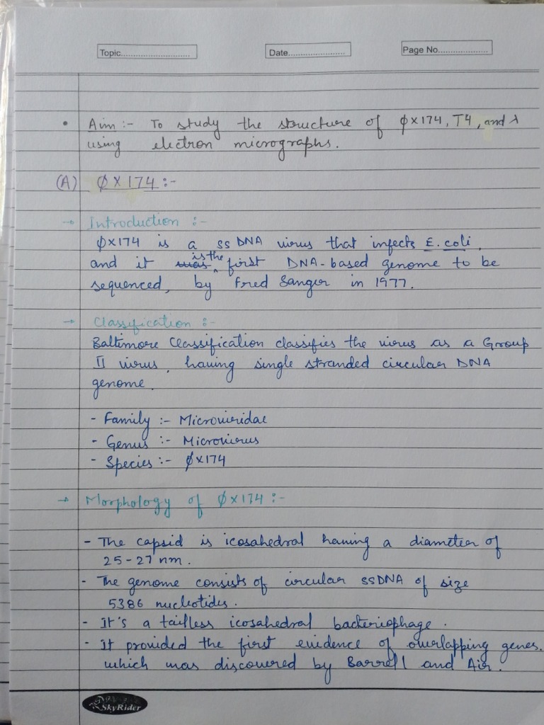 Bacteriophages, Lambda, Phi X 174 and T4 PDF