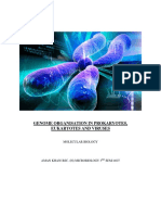 Eukaryotic, Prokaryotic and Viral Genome Organisation