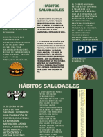 Obesidad:: Habitos Saludables