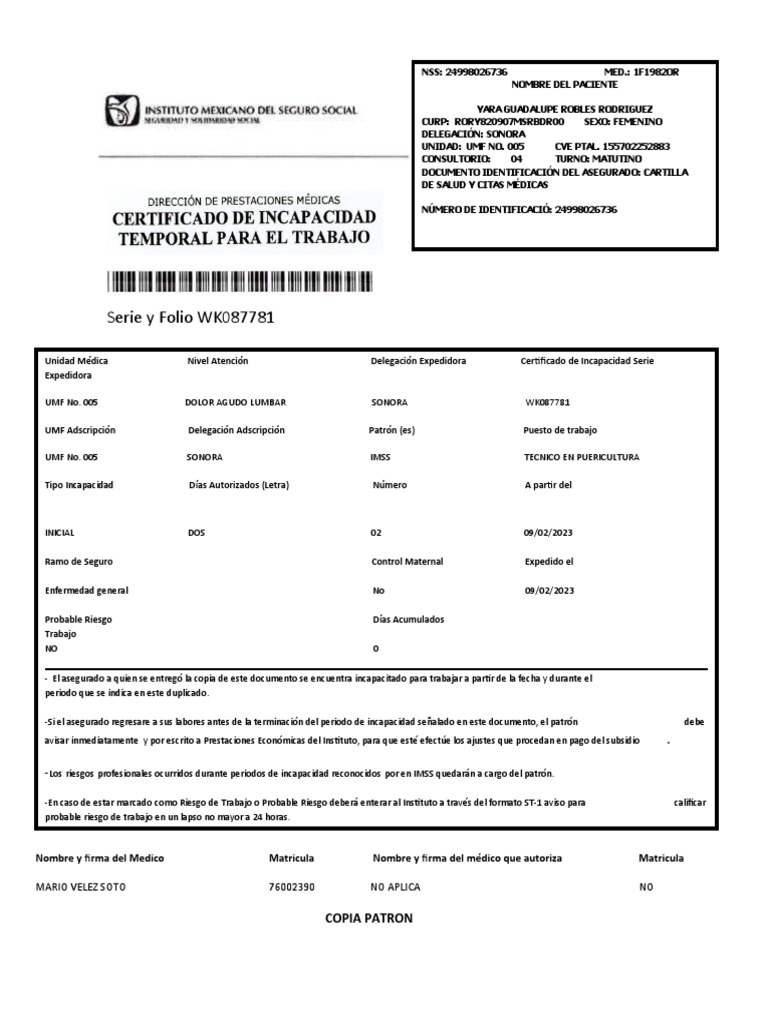 Certificado de Incapacidad IMSS 2023 | PDF | Medicina | Cuidado de la salud