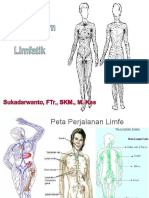 Anatomi Sistema Limfatik