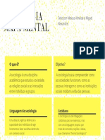 Trabalho de Sociologia Miguel e Mateus PDF
