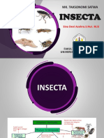 Insecta-1