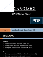 Bahan Ajar Botani Organologi Batang Akar