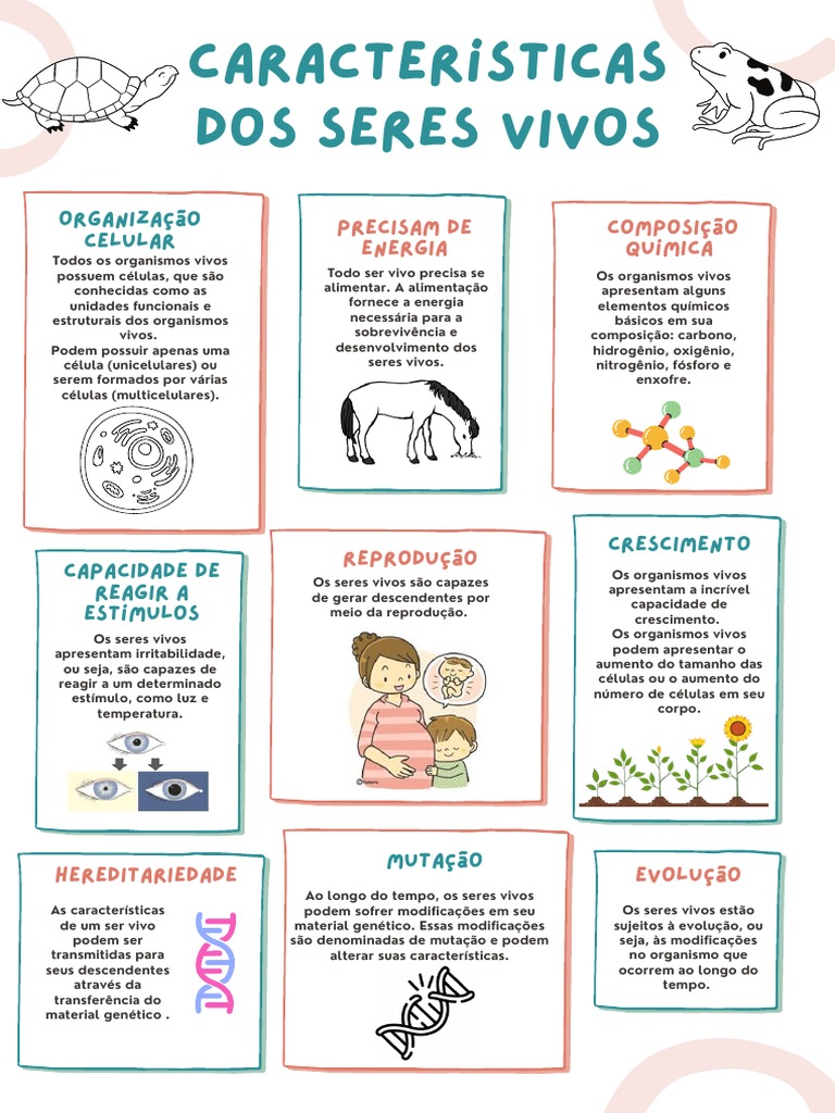 Características dos Seres Vivos | PDF | Organismos | Célula (Biologia)
