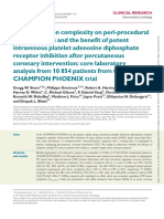 Stone Champion PH PDF