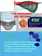 7-Anatomi Daun PDF