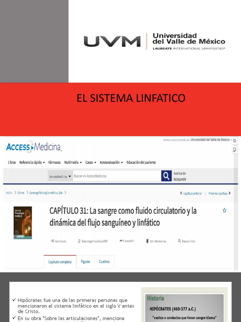 El Sistema Linfatico Descargar Gratis Pdf Sistema Linfático Linfa