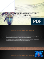 Circulacion Mayor y Menor