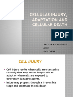 Cellular Injury, Adaptation and Death: Mechanisms and Morphology