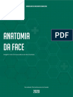 1 - Anatomia-Musculos-Face