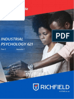 Industrial Psychology 621 PDF