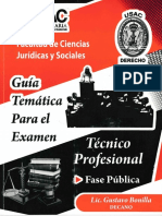 Guía Temática Fase Pública (Escaneado 2021)