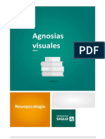 Agnosias Visuales