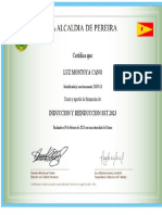 9 Certificado en Seguridad y Salud en El Trabajo PDF
