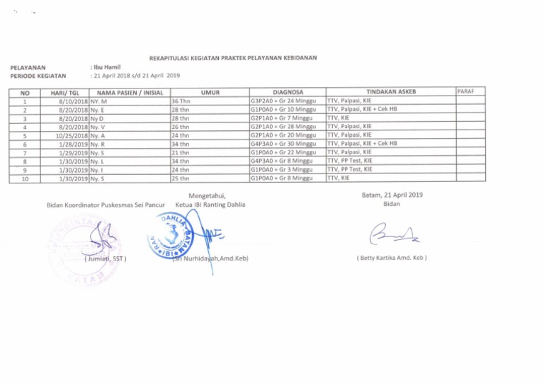 Ibu Hamil 2018 PDF PDF