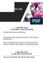 Chương 8.2.7. LỚP NGỌC LAN PDF