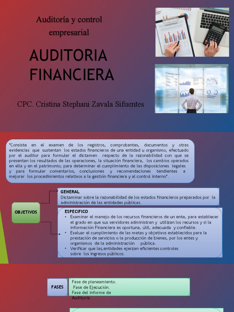 Auditoría Financiera y Gubernamental | PDF | Auditoría | Contralor
