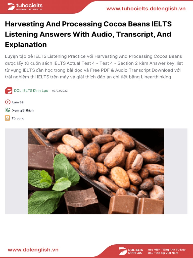 Harvesting and Processing Cocoa Beans IELTS Listening Answers With
