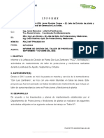 Informe de Gestion Taller de Protecciones Mes de Agosto, Septiembre, Octubre 2022