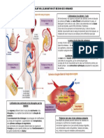 DNB - Revisions - CIRCULATION-ELIMINATION - BESOIN DES ORGANES