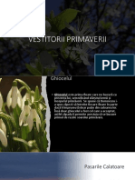 Vestitorii Primaverii