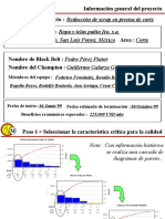 Proyecto Muestra