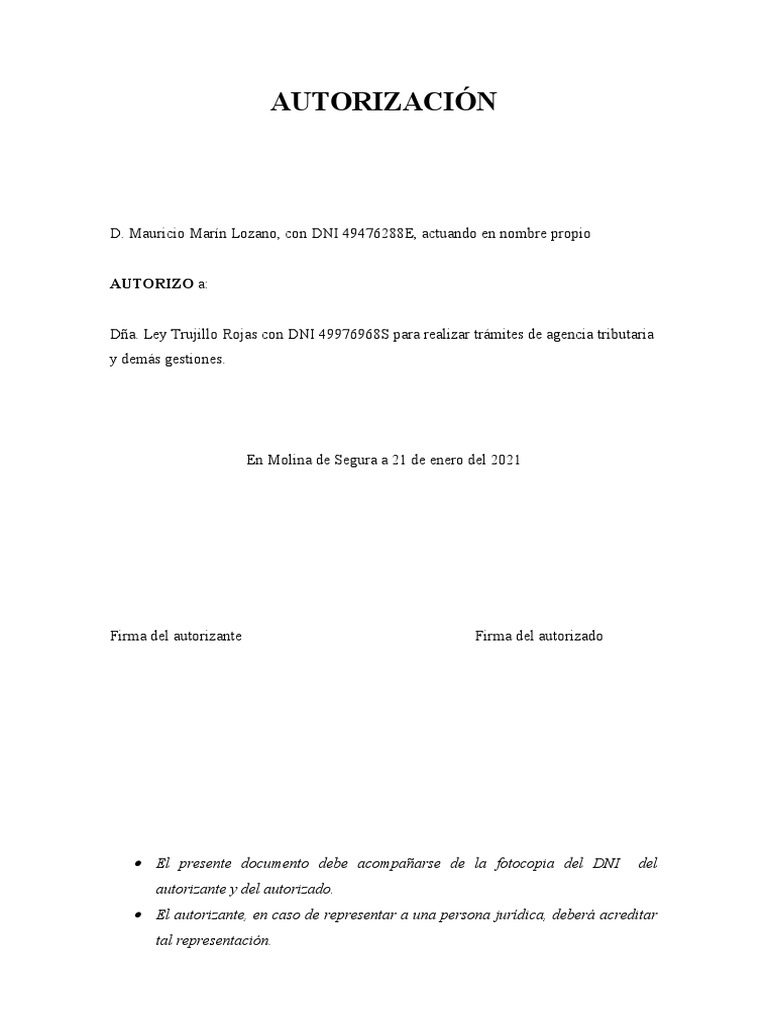 Modelo autorizacion representacion pdf