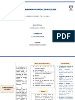 Psicodinamica de Grupo PDF