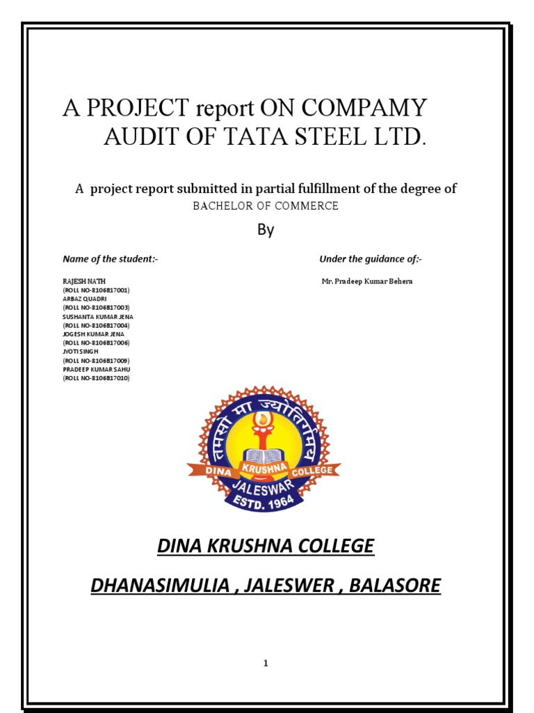 Tata Steel Audit Project Report | PDF | Audit | Auditor's Report