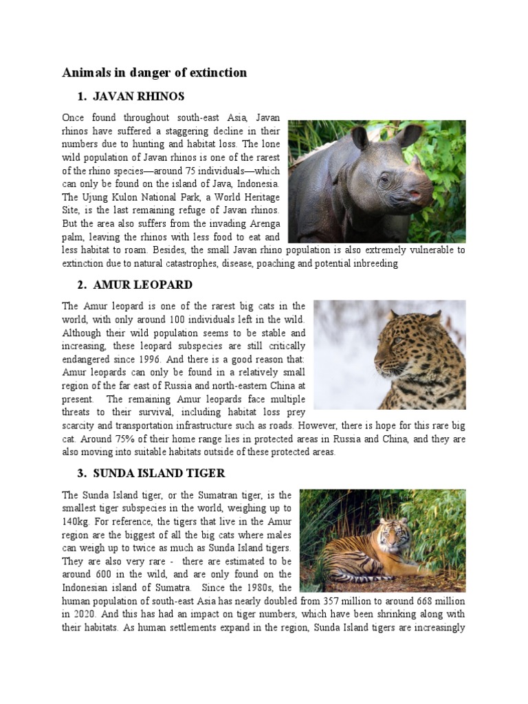 Animals in Danger of Extinction | PDF