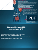 Mapa Mental de Sistema Digestorio