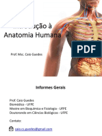 Introdução à Anatomia Humana em