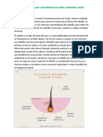 CUIDADOS CAPILARES( ANATOMIA DEL CABELLO).pdf