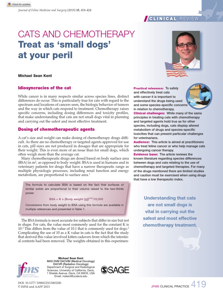 Cats and Chemotherapy PDF Chemotherapy Clinical Medicine