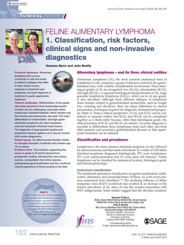 Feline Alimentary Lymphoma1 | PDF | Lymphoma | Gastrointestinal Tract