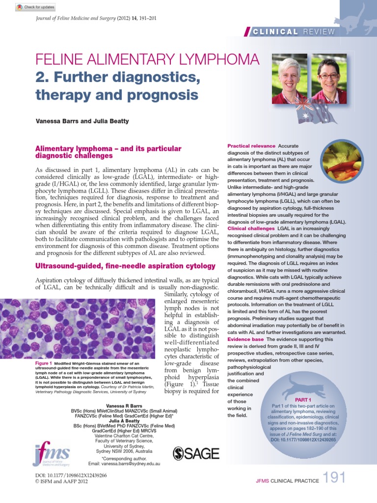 Thumbnail for Lymphoma In Cats And Nutrition Guidelines