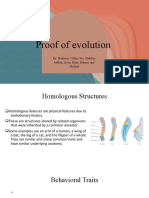 Evolution Powerpoint - Odp