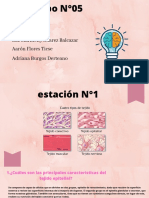 Características principales del tejido epitelial
