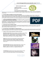 Bosques2010 Gatos PDF
