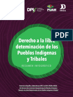 Derecho Libre Determinacion y Pueblos Indigenas - Esp 2023 0