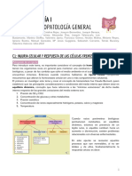 [COMPILADO] Transcripciones UA1 Fisiopatología General. Ruiz-Tagle, Rojas et al 2021.pdf
