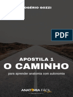 Aprenda anatomia óssea de forma autônoma com a origem dos nomes anatômicos