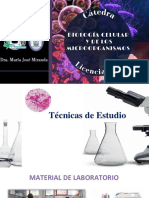 Teoria 22 PDF